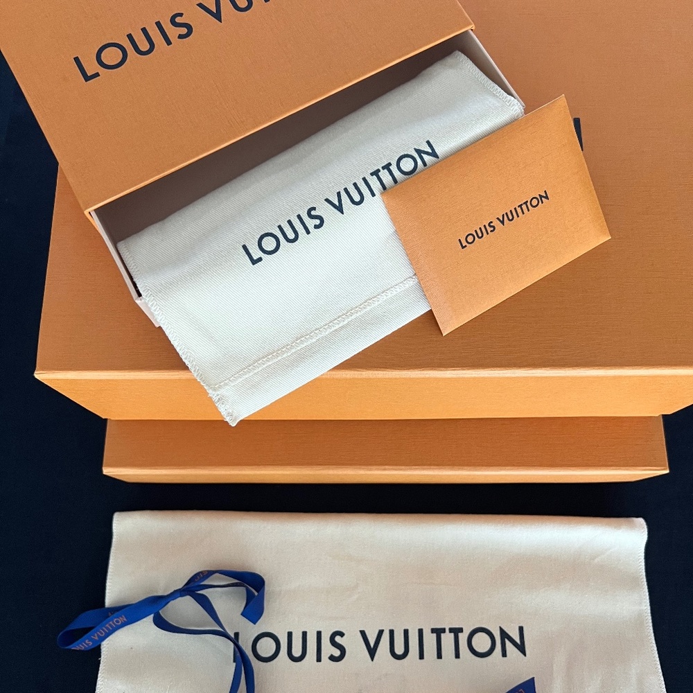 Louis Vuitton Shopping Bags and Boxes